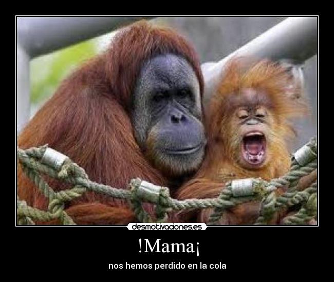 !Mama¡ - nos hemos perdido en la cola