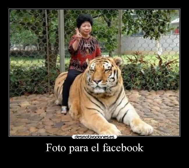 Foto para el facebook -