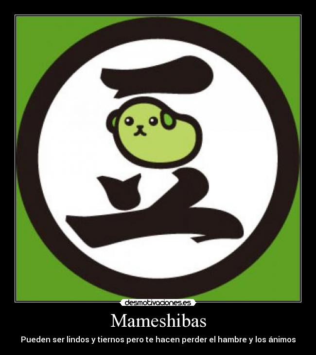 Mameshibas - Pueden ser lindos y tiernos pero te hacen perder el hambre y los ánimos