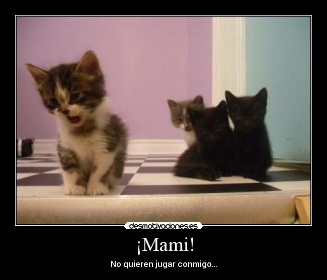 carteles gato desmotivaciones