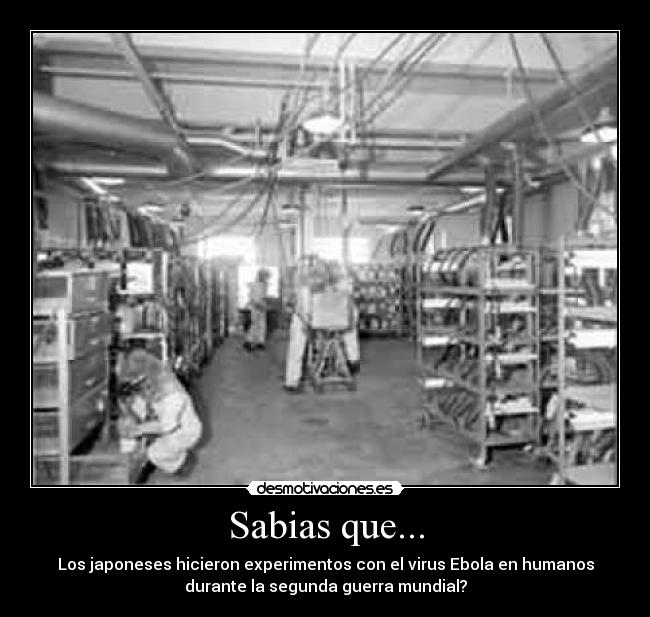 Sabias que... - Los japoneses hicieron experimentos con el virus Ebola en humanos
durante la segunda guerra mundial?