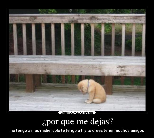 ¿por que me dejas? - no tengo a mas nadie, solo te tengo a ti y tu crees tener muchos amigos