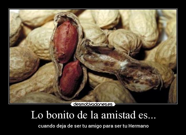 Lo bonito de la amistad es... - 