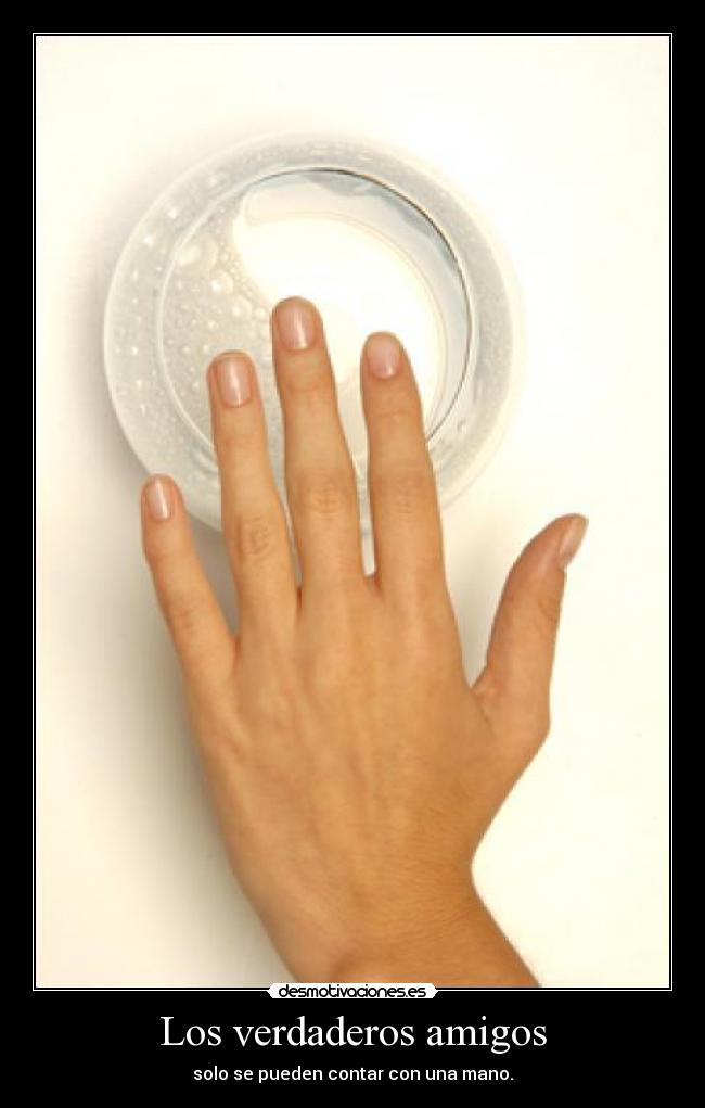 Los verdaderos amigos - 
