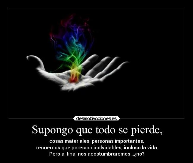 Supongo que todo se pierde, - cosas materiales, personas importantes,
 recuerdos que parecían inolvidables, incluso la vida.
Pero al final nos acostumbraremos...¿no?