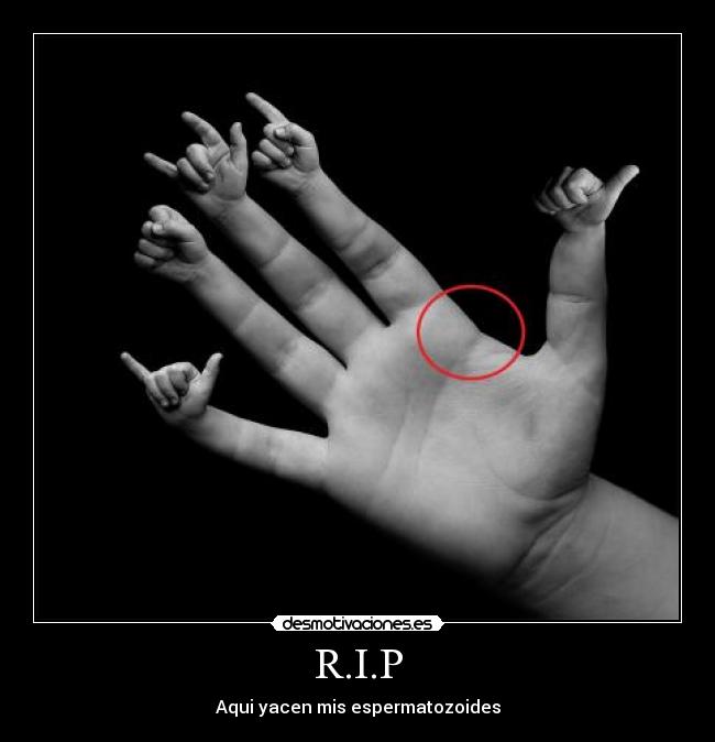 R.I.P - Aqui yacen mis espermatozoides