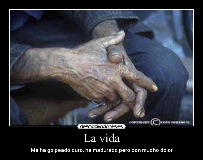 La vida - 