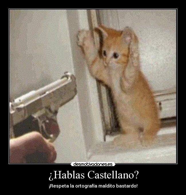 ¿Hablas Castellano? - 
