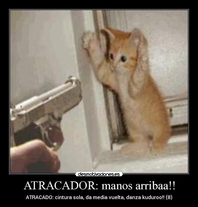 ATRACADOR: manos arribaa!! - ATRACADO: cintura sola, da media vuelta, danza kuduroo!! (8)