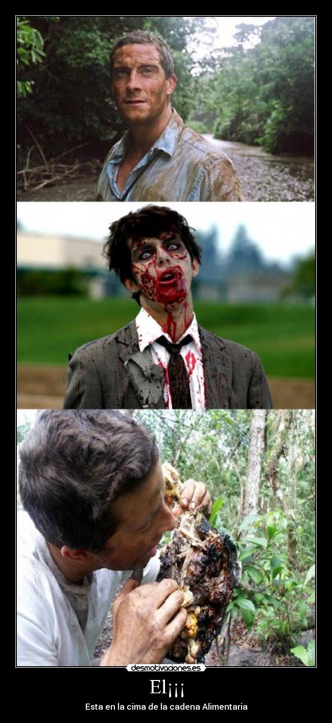 El¡¡¡ - Esta en la cima de la cadena Alimentaria