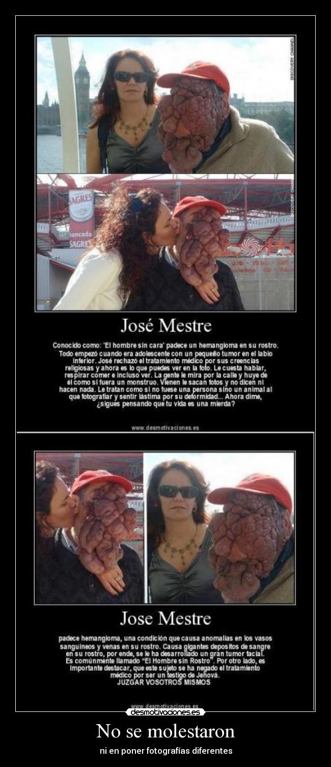 No se molestaron - ni en poner fotografías diferentes