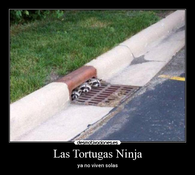 Las Tortugas Ninja - 