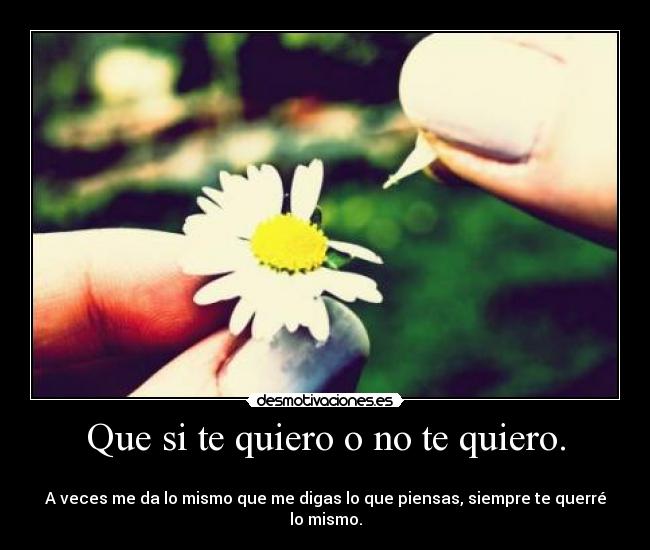Que si te quiero o no te quiero. -