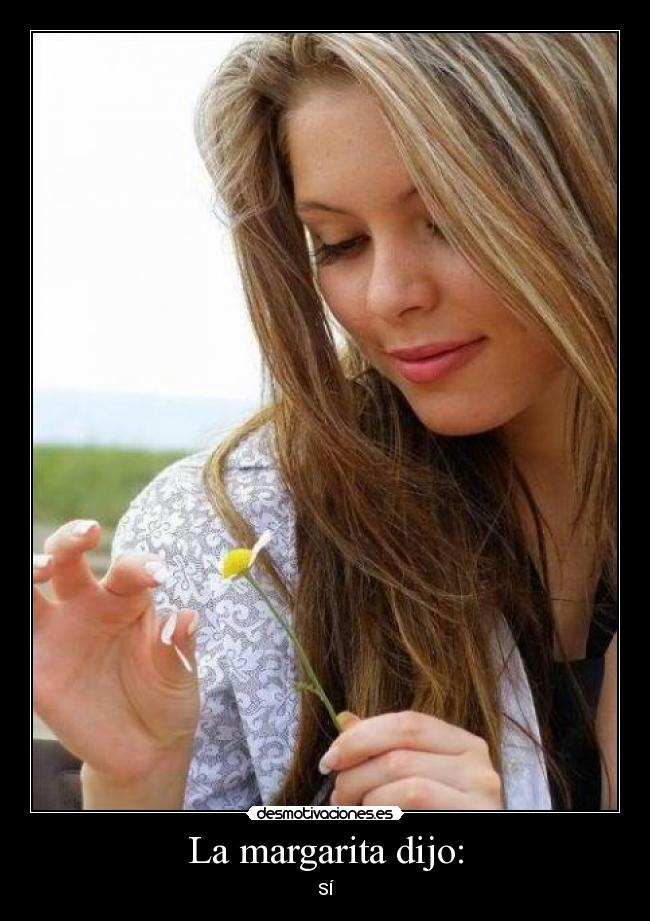 La margarita dijo: - SÍ