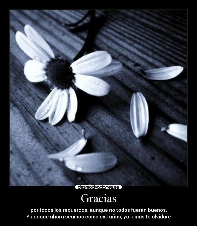 Gracias - 