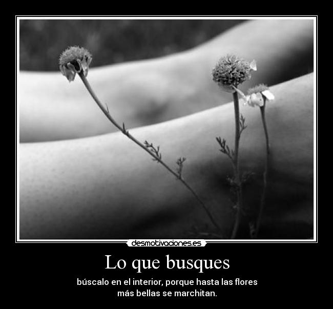 Lo que busques - 