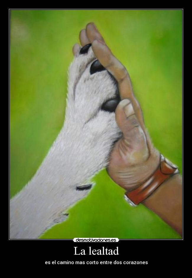 La lealtad - es el camino mas corto entre dos corazones