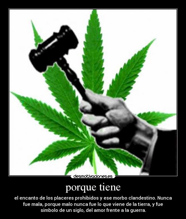 porque tiene - el encanto de los placeres prohibidos y ese morbo clandestino. Nunca
fue mala, porque malo nunca fue lo que viene de la tierra, y fue
simbolo de un siglo, del amor frente a la guerra.