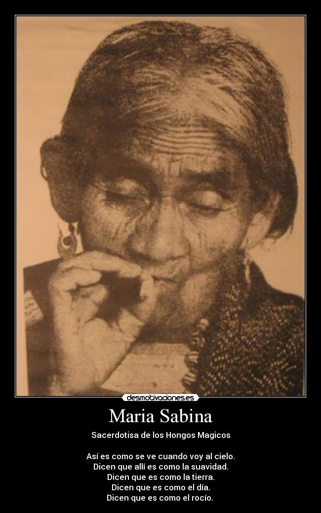 Maria Sabina - Sacerdotisa de los Hongos Magicos
Así es como se ve cuando voy al cielo.
Dicen que allí es como la suavidad.
Dicen que es como la tierra.
Dicen que es como el día.
Dicen que es como el rocío.