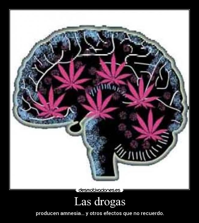Las drogas - 
