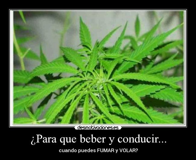 ¿Para que beber y conducir... - cuando puedes FUMAR y VOLAR?