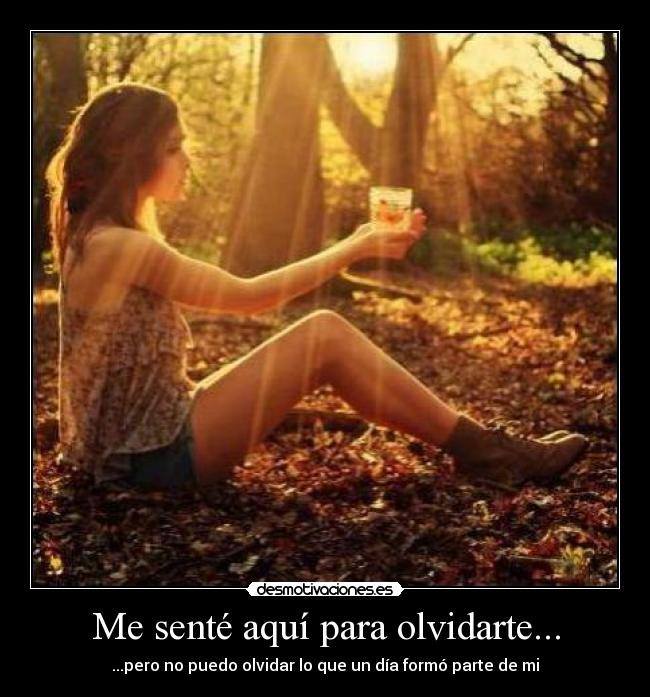 Me senté aquí para olvidarte... - 