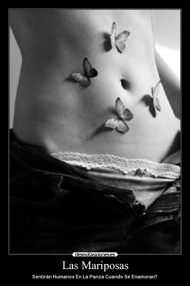 carteles mariposas enamorados amor vida felicidad humanos panza sexo desmotivaciones