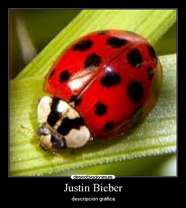 Justin Bieber - 