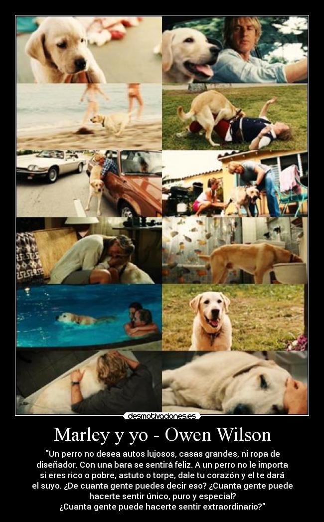 Marley y yo - Owen Wilson - 