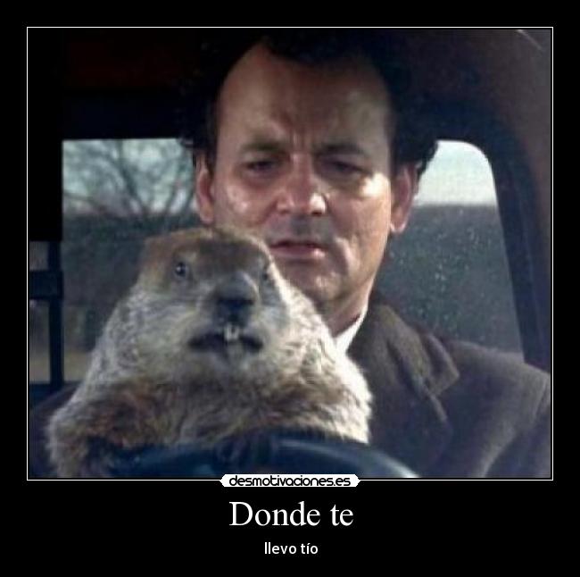 Donde te - llevo tío