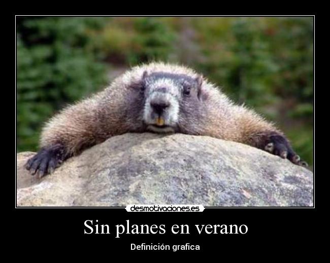 Sin planes en verano - 