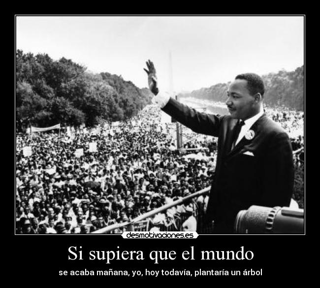 Si supiera que el mundo - se acaba mañana, yo, hoy todavía, plantaría un árbol