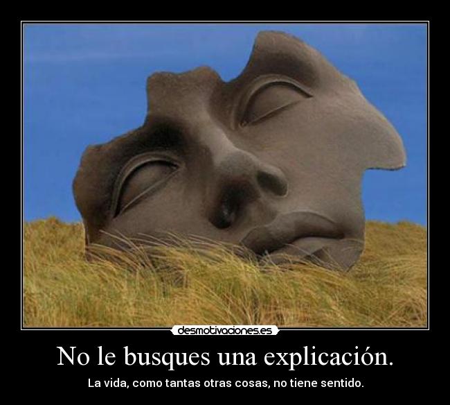 No le busques una explicación. - 