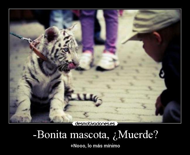 -Bonita mascota, ¿Muerde? -
