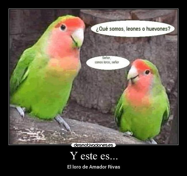 Y este es... - El loro de Amador Rivas