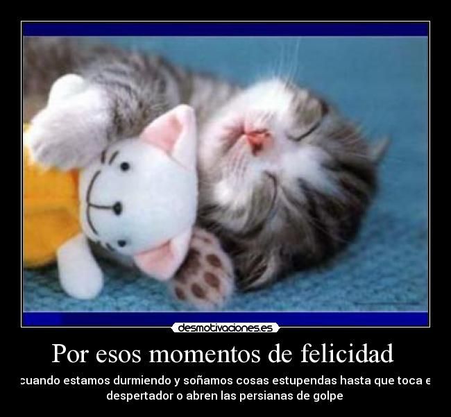 Por esos momentos de felicidad -