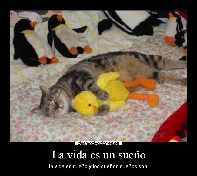 La vida es un sueño - 