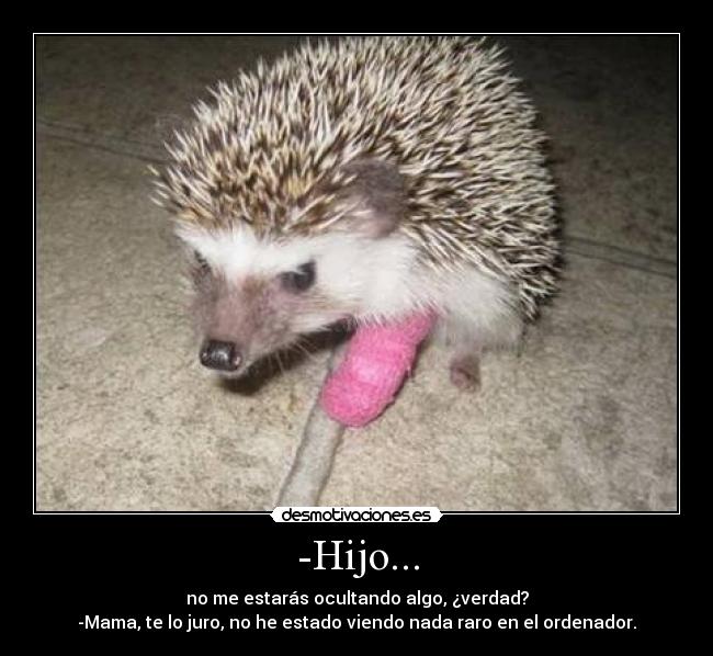 -Hijo... - no me estarás ocultando algo, ¿verdad?
-Mama, te lo juro, no he estado viendo nada raro en el ordenador.