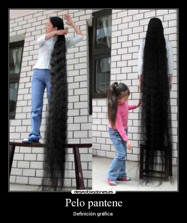 carteles pelo pantene desmotivaciones