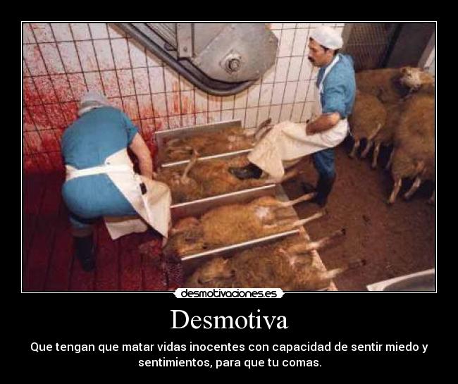 Desmotiva - Que tengan que matar vidas inocentes con capacidad de sentir miedo y
sentimientos, para que tu comas.