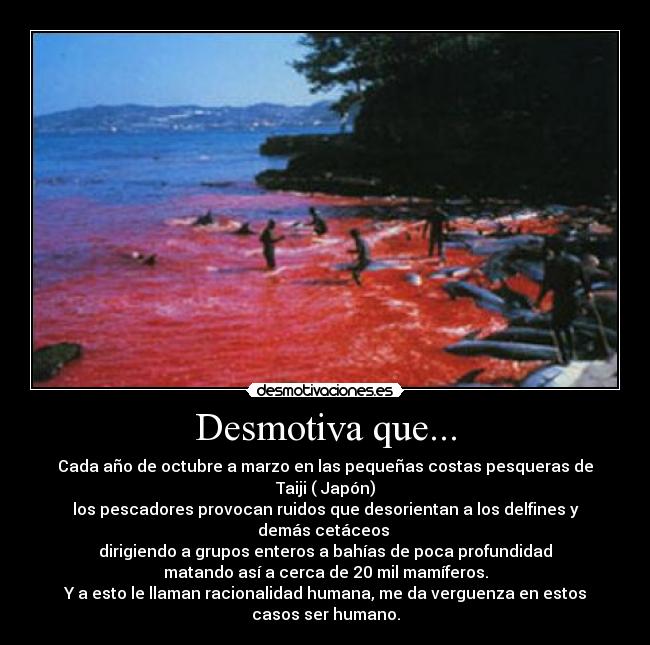 Desmotiva que... - Cada año de octubre a marzo en las pequeñas costas pesqueras de
Taiji ( Japón)
los pescadores provocan ruidos que desorientan a los delfines y
demás cetáceos 
dirigiendo a grupos enteros a bahías de poca profundidad
matando así a cerca de 20 mil mamíferos.
Y a esto le llaman racionalidad humana, me da verguenza en estos
casos ser humano.