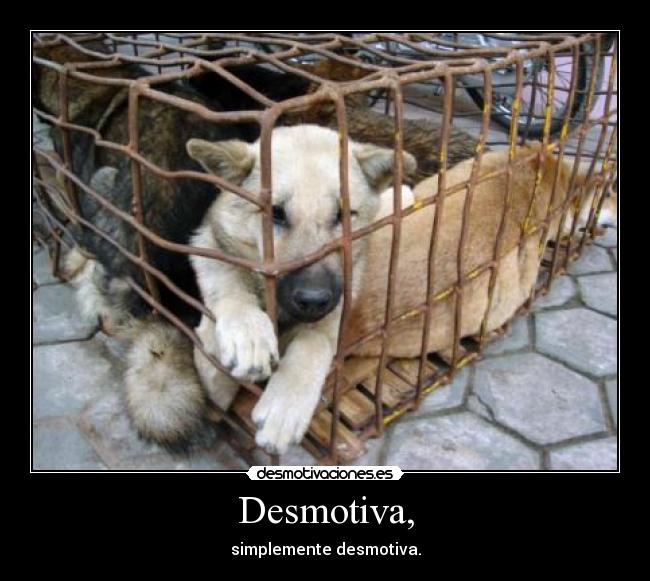 Desmotiva, -