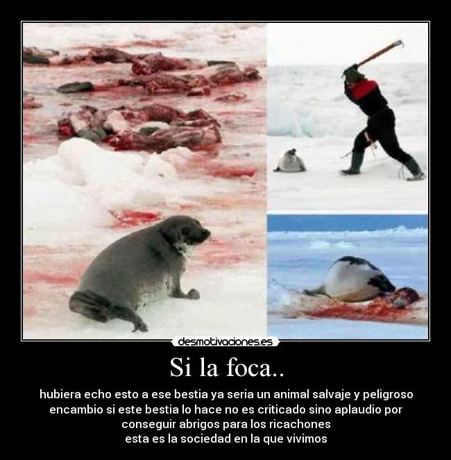Si la foca.. - hubiera echo esto a ese bestia ya seria un animal salvaje y peligroso
encambio si este bestia lo hace no es criticado sino aplaudio por
conseguir abrigos para los ricachones
esta es la sociedad en la que vivimos