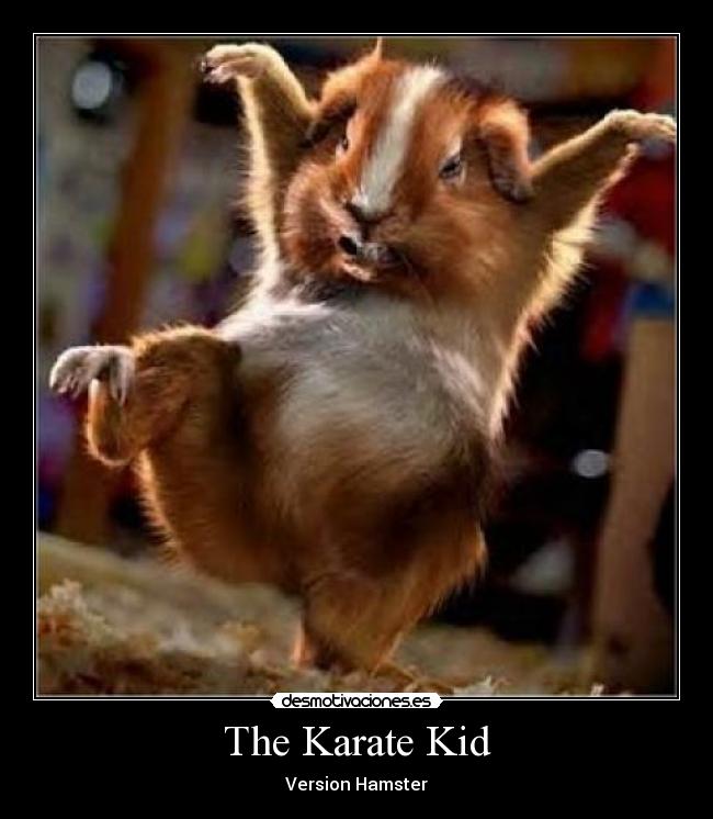 The Karate Kid - Version Hamster