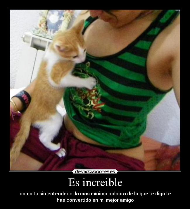 Es increible -