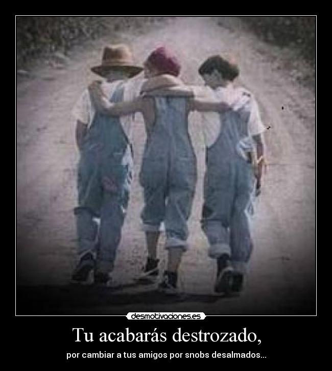 carteles amigos contra snobs desmotivaciones