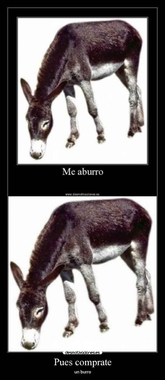 carteles puescomprateesteburro desmotivaciones