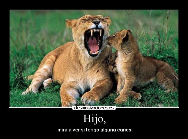 carteles tigre desmotivaciones