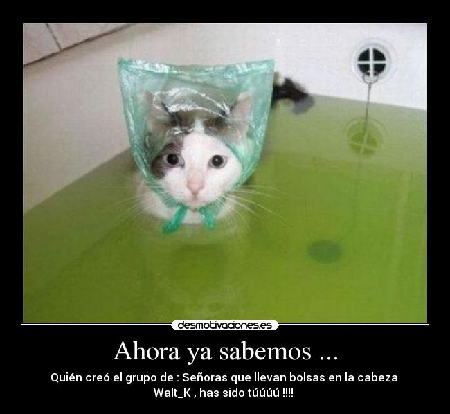 Ahora ya sabemos ... -