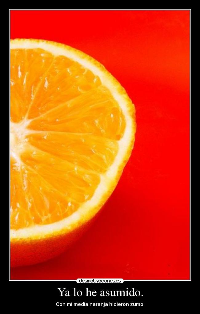 Ya lo he asumido. -